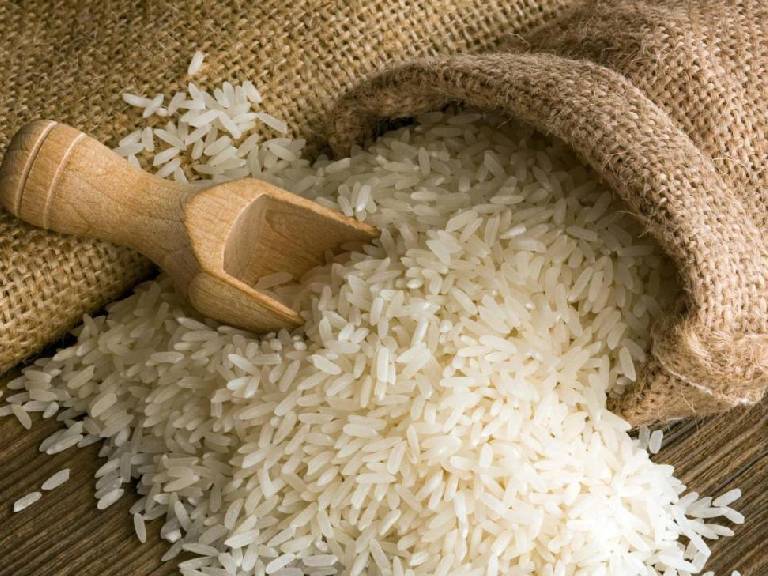 Rice Production and Export around the Globe